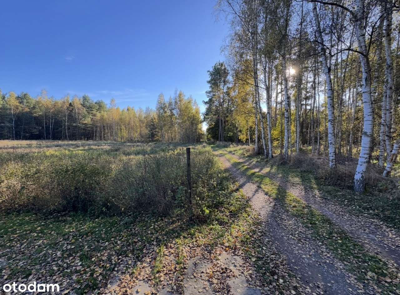 GMINA MIĘKINIA DOM W LESIE  4 POKOJE 152 m²  25MIN OD WROCŁAWIA-15