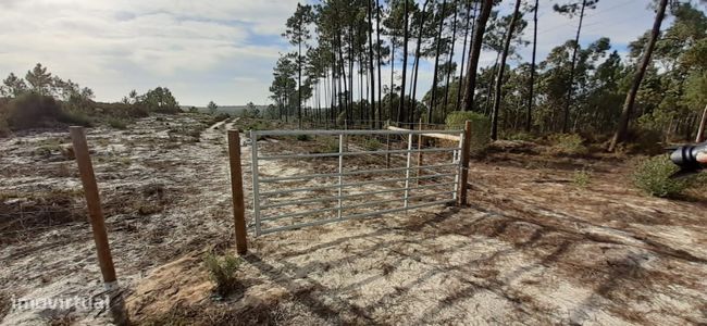 Terreno Urbano com 5032m2 à venda em Fontainhas do Meio - Melides