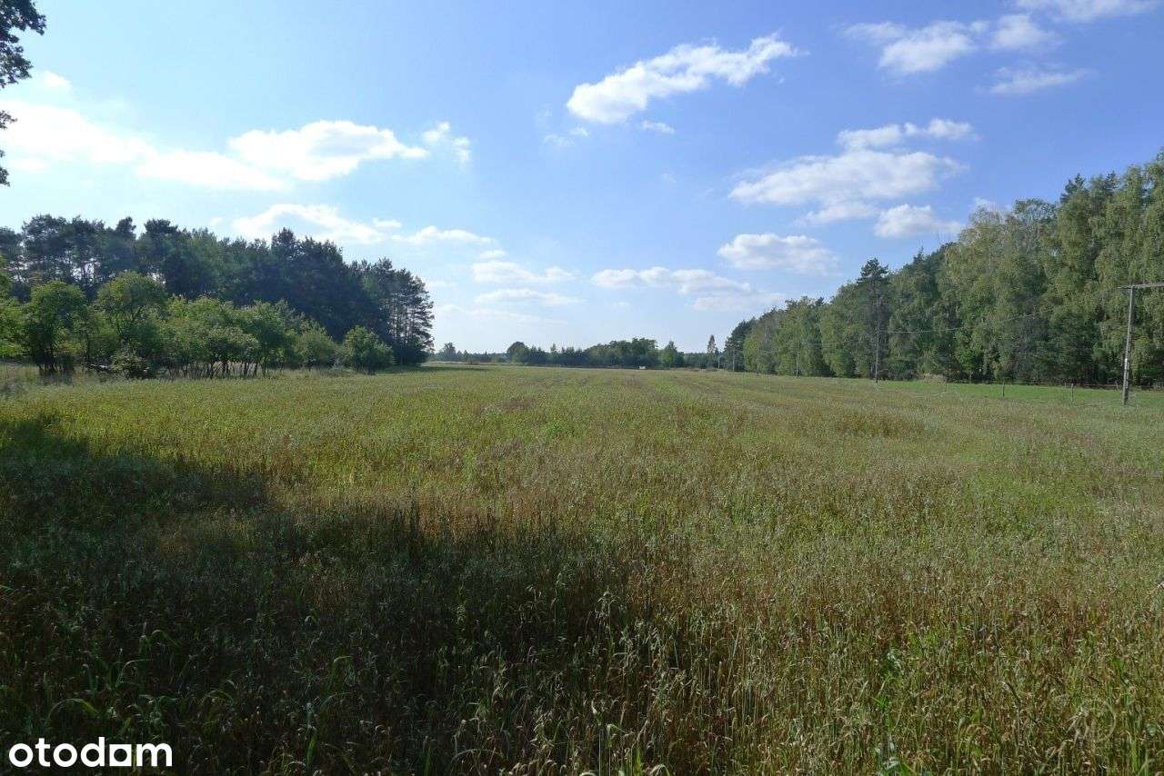 2500 m² – Ignacew Rozlazły, gm. Parzęczew – Mpzp-4