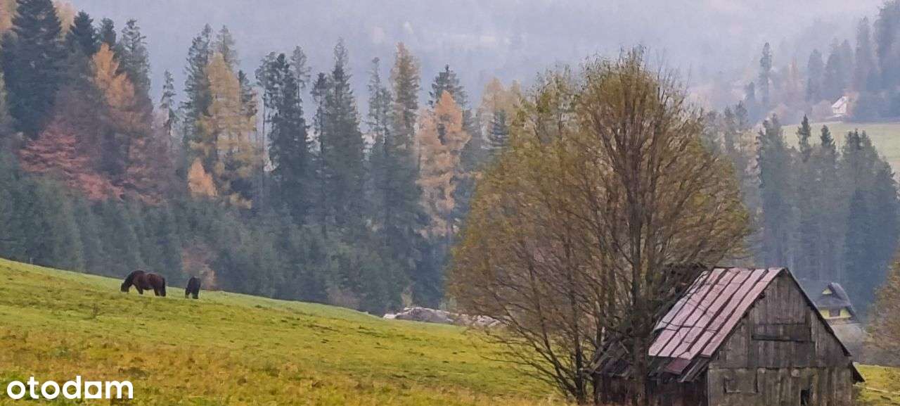 Miejsce o unikalnych walorach widokowych-730 mnpm - Pełny obrazek: 4/11
