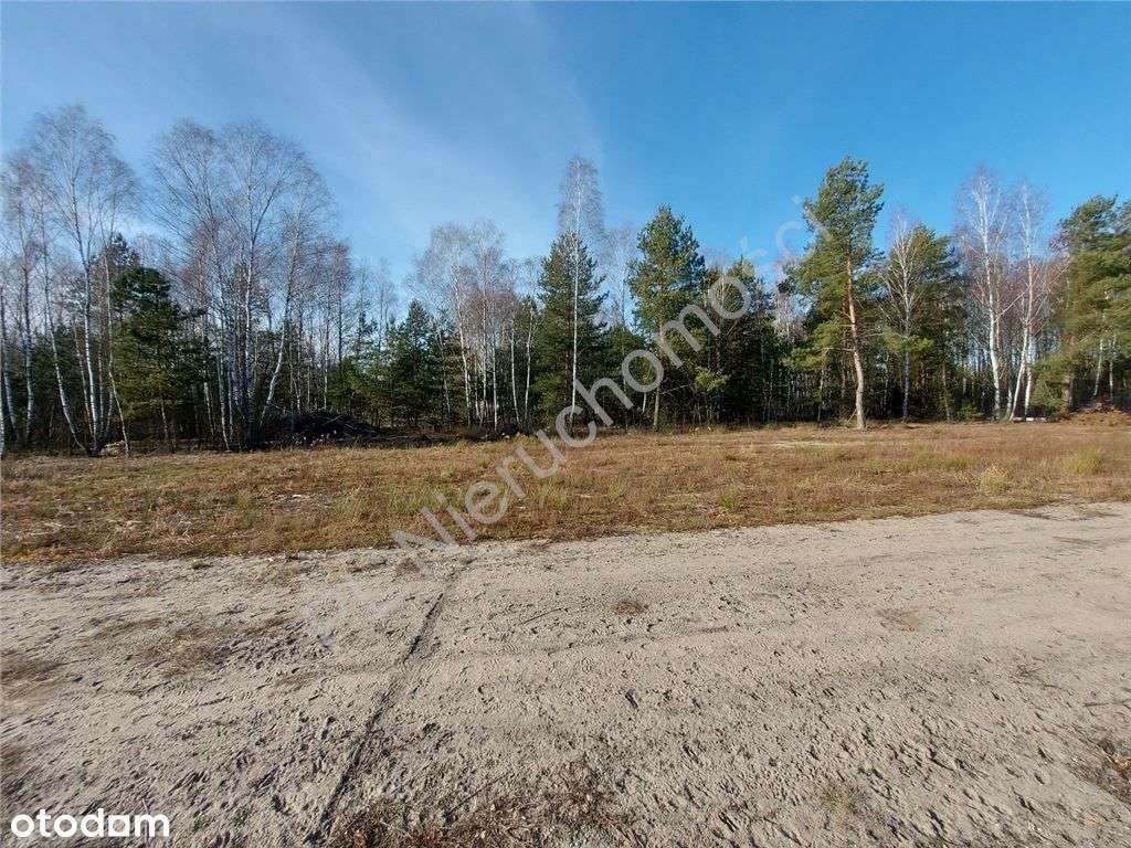 Ostatnia - Piękna Działka W Dobrej Cenie-10