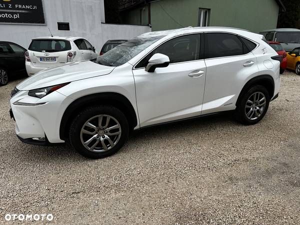 Lexus NX - 12