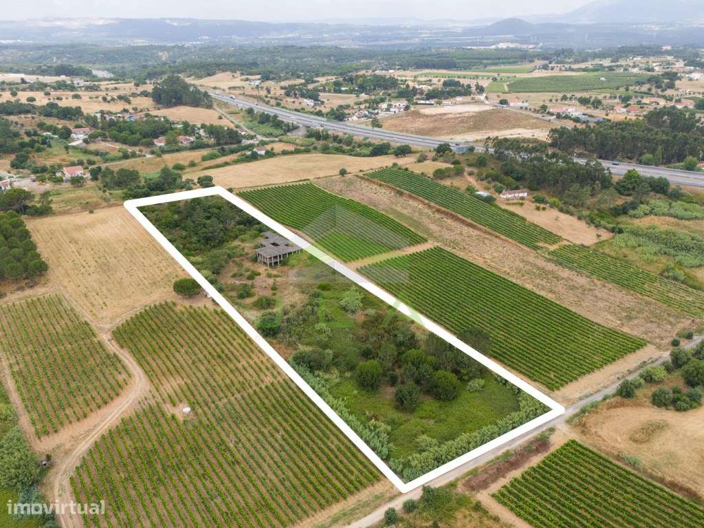 Terreno com 15.840m2 em Aveiras de Cima - Grande imagem: 2/26