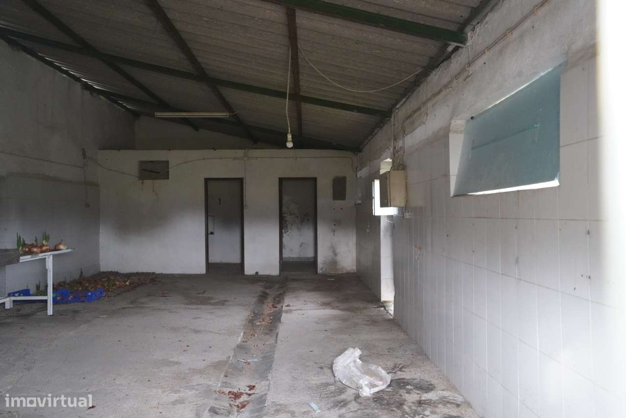 Quinta T0 Venda em Alcains,Castelo Branco - Grande imagem: 5/34