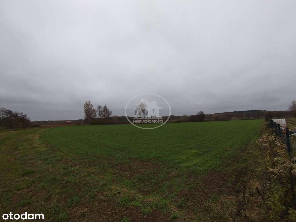 Duża działka w  spokojnym otoczeniu pól i lasów - Pełny obrazek: 5/5