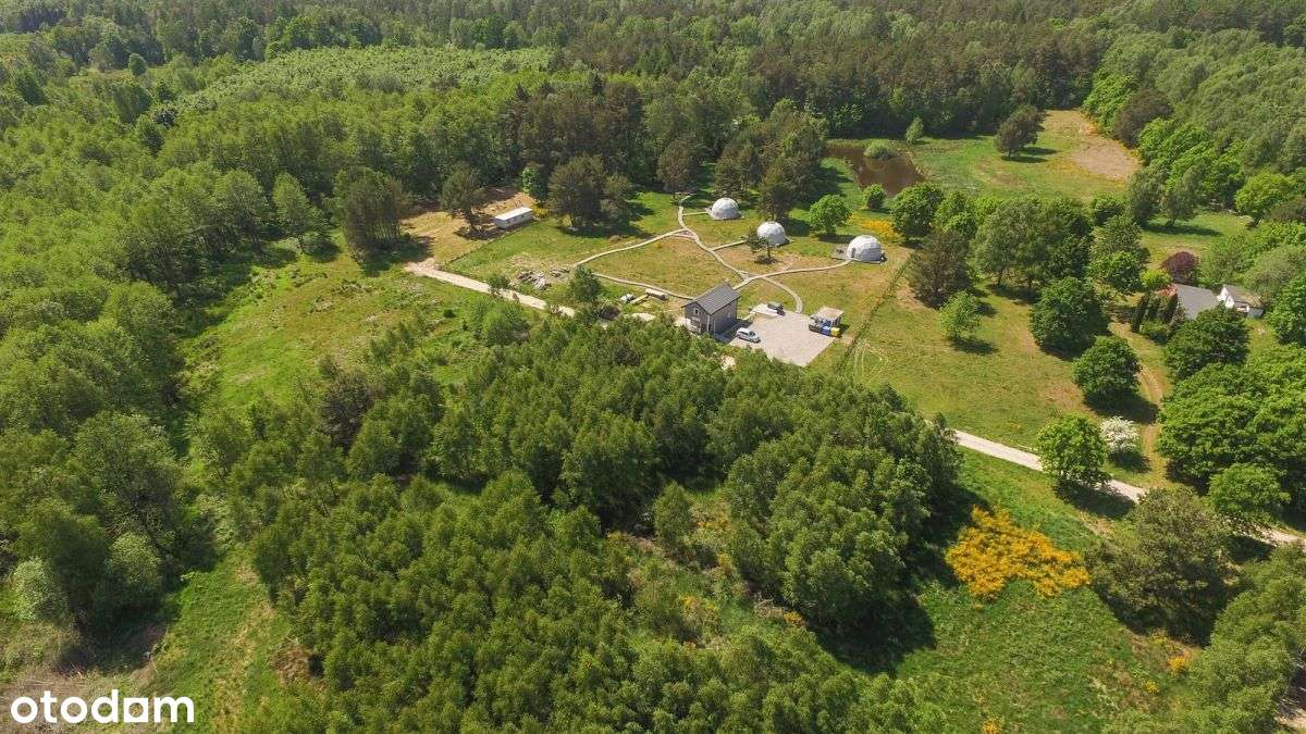 Działka w Salinku - Pełny obrazek: 4/6