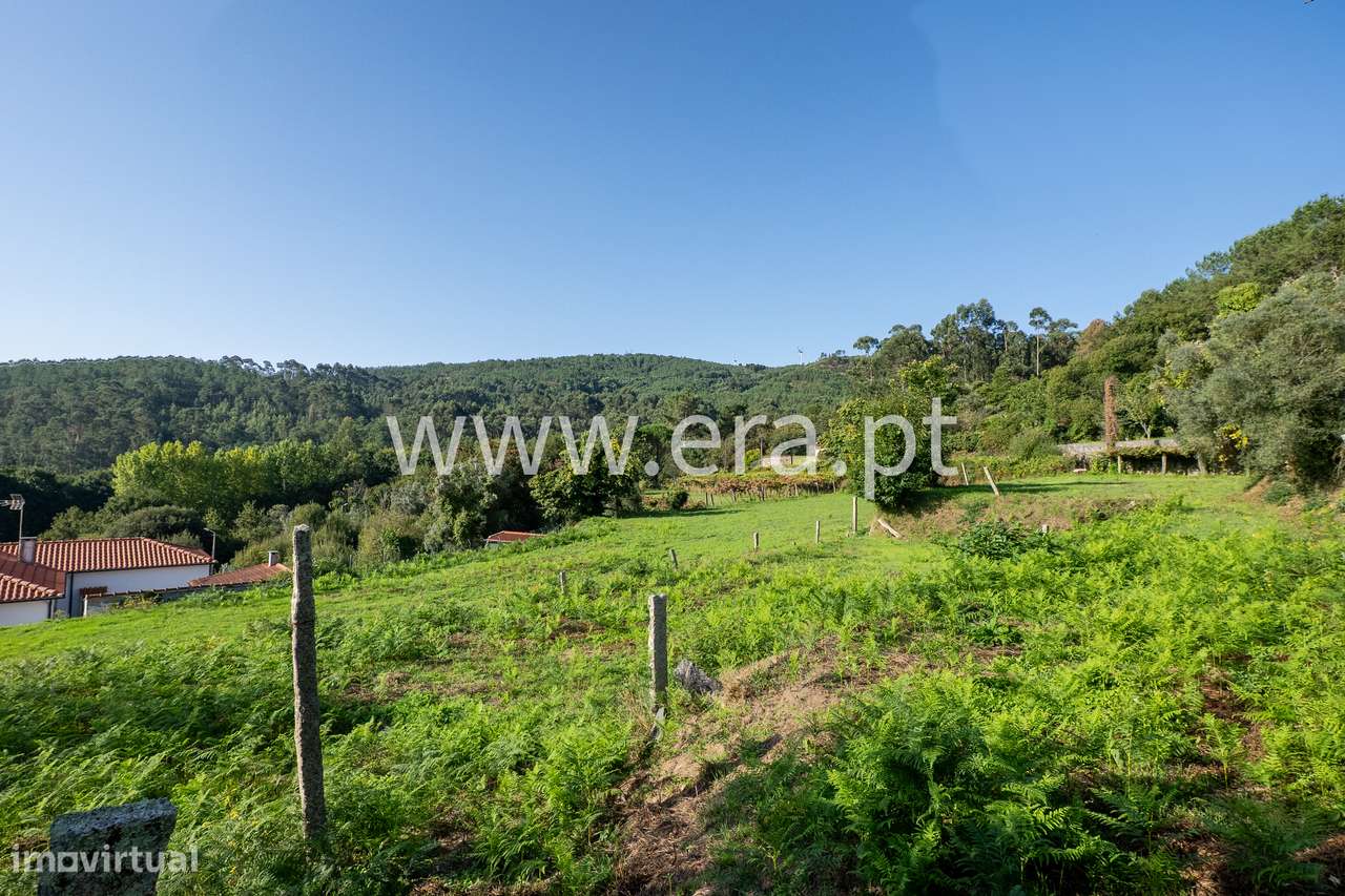 Terreno para construção- Candemil - Grande imagem: 5/16