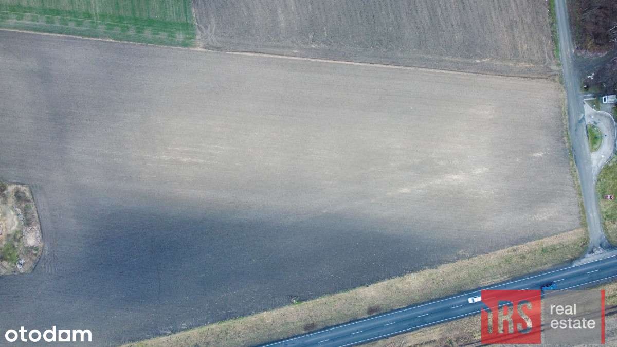 Działka przy Dk12 – Idealna pod Twój biznes! - Pełny obrazek: 4/5