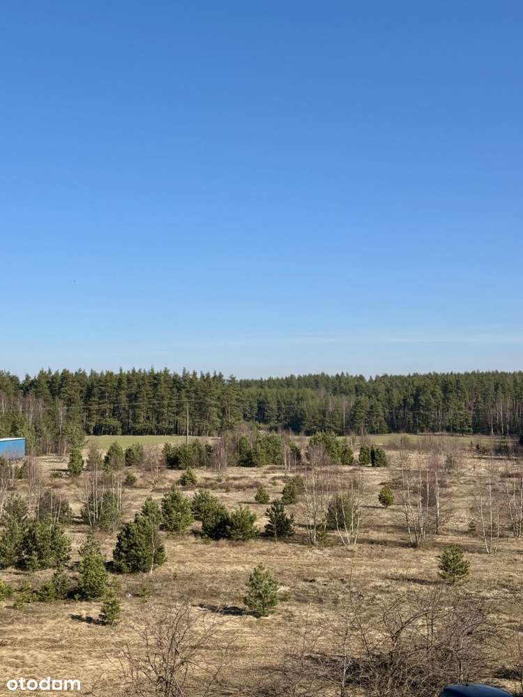 Przestronne mieszkanie w doskonałej lokalizacji!!! - Pełny obrazek: 2/20