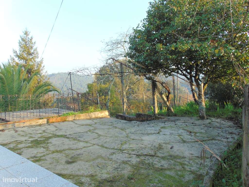 Quinta em Nogueira Paraíso Castelo de Paiva-19