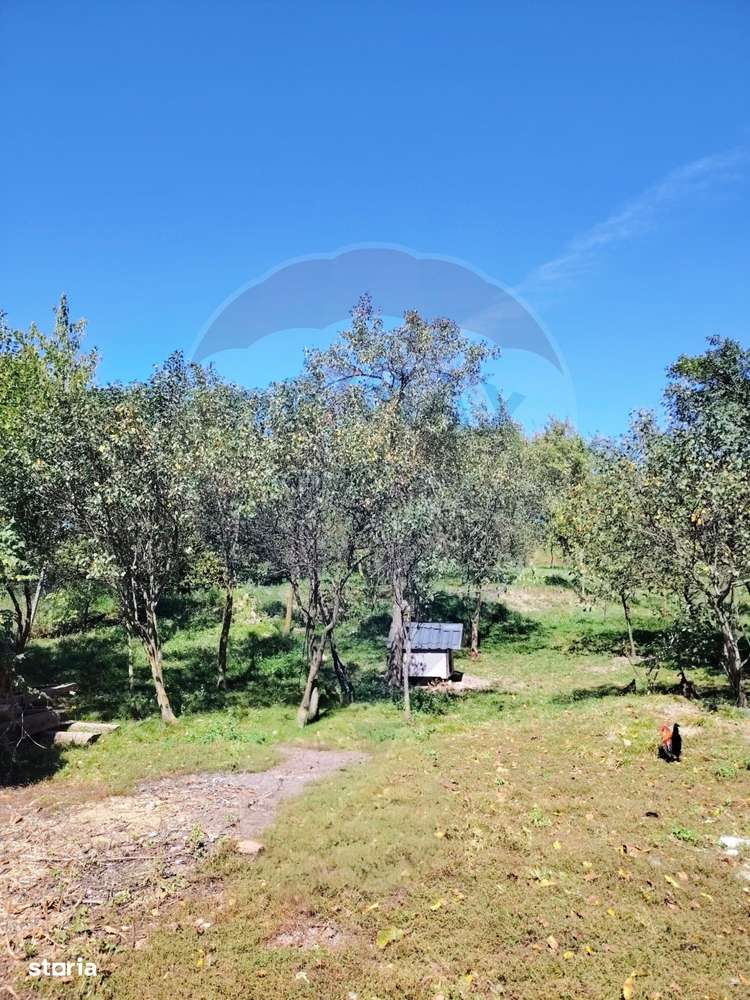 COMISION ZERO Teren de vanzare (30 AR) + casa veche din lemn - Imagine principală: 5/7