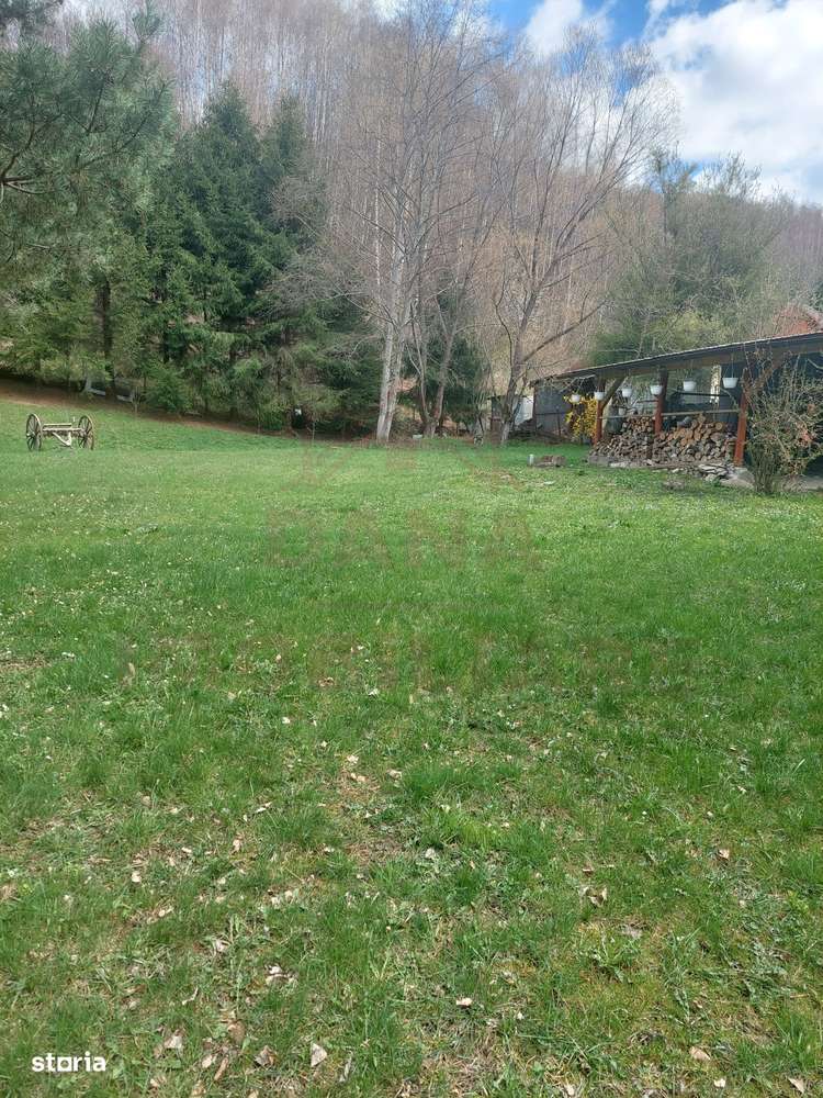 CASĂ DE VACANȚĂ 5 CAMERE,POINANA MĂRULUI, JUD.CARAȘ-SEVERIN - Imagine principală: 5/20