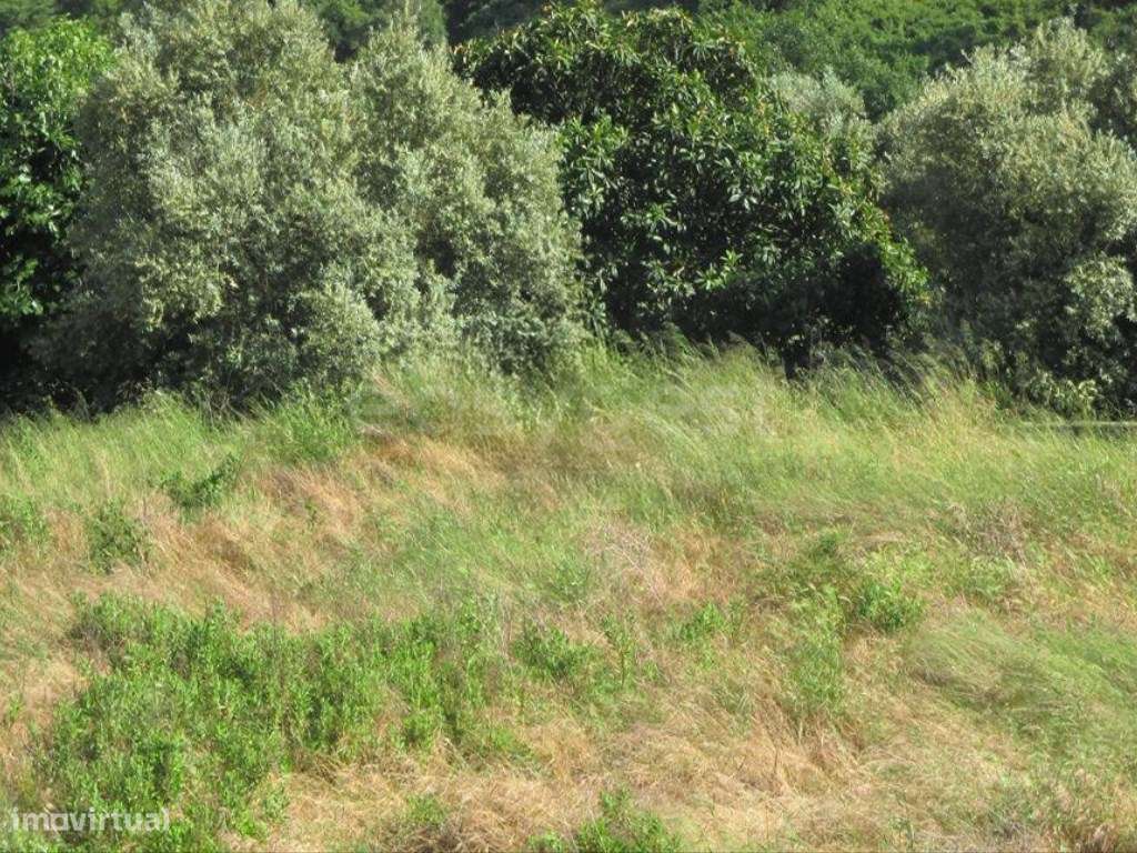 Lote para Construção - Grande imagem: 3/8