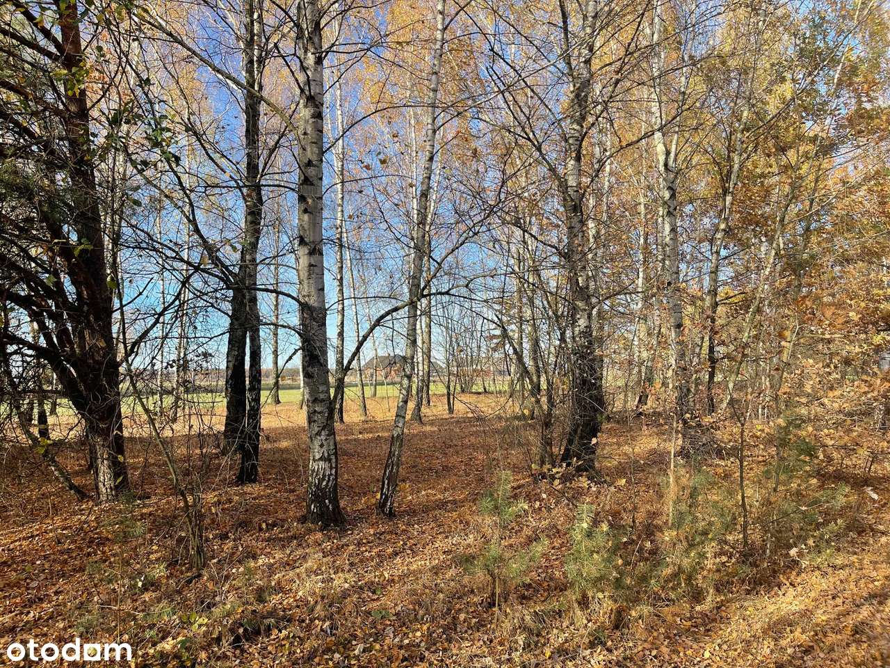 Dz. Budowlane (WZ) Warunki Zabudowy, Iwowe gm Borowie, pow Garwoliński - Pełny obrazek: 4/14