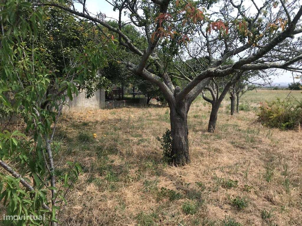 Terreno para construção junto á Ria - Gafanha da Nazaré - Grande imagem: 2/5