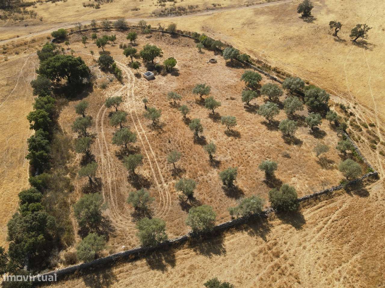 Terreno Rústico  Venda em Santa Cruz,Almodôvar - Grande imagem: 4/23