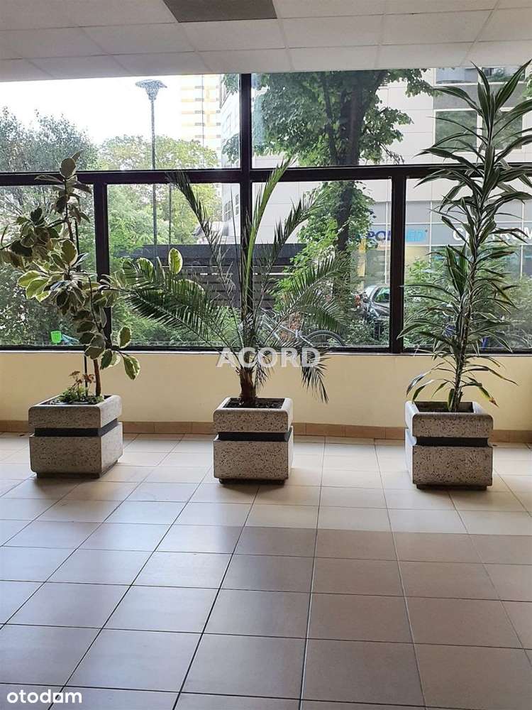 Jana Pawła/Świętokrzyska 27,4m2 z piękną panoramą-12