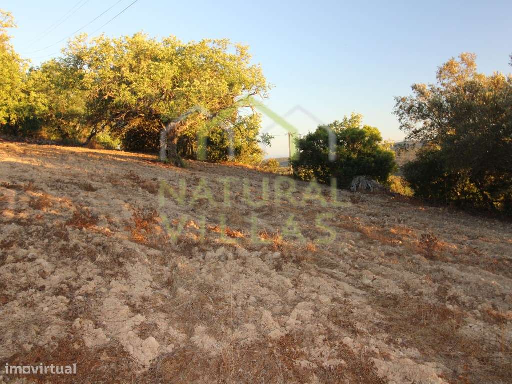 Terrenos Rústicos em Mesquita, São Brás de Alportel - Grande imagem: 4/6