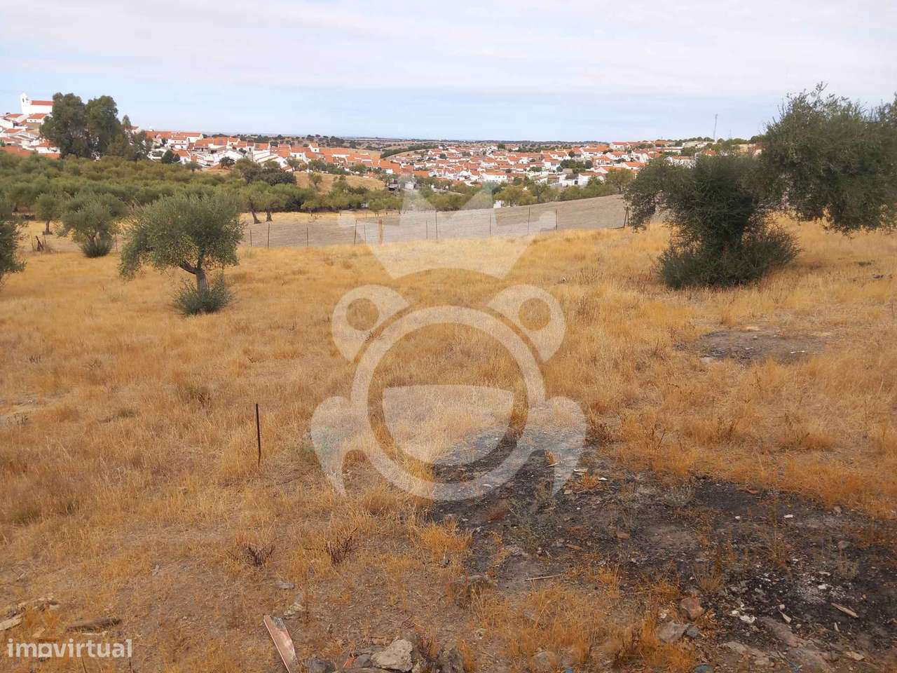 Terreno com dependência agrícola - Santo Aleixo-1
