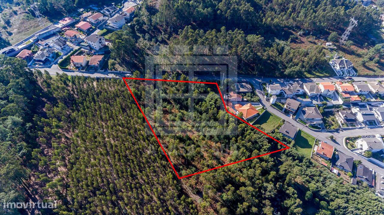 Terreno com 11.981 m2 em Caldas de São Jorge - Exclusivo - Grande imagem: 3/8