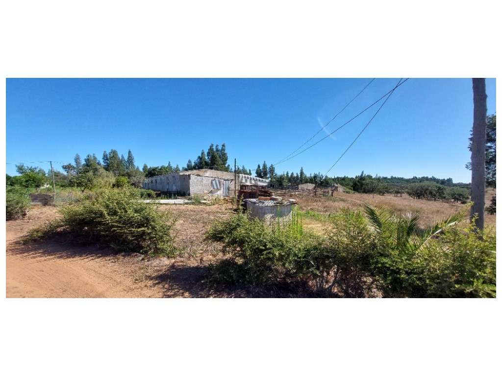 HERDADE - Colos - Grande imagem: 5/31