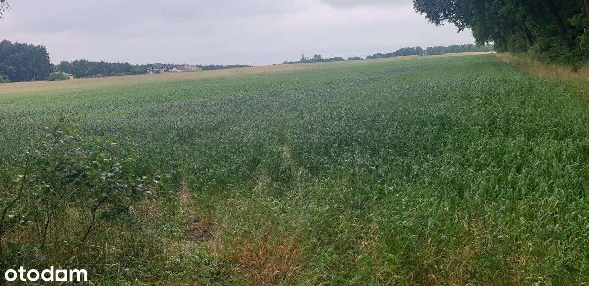 Działka, 1 041 m², Wola Pasikońska-9