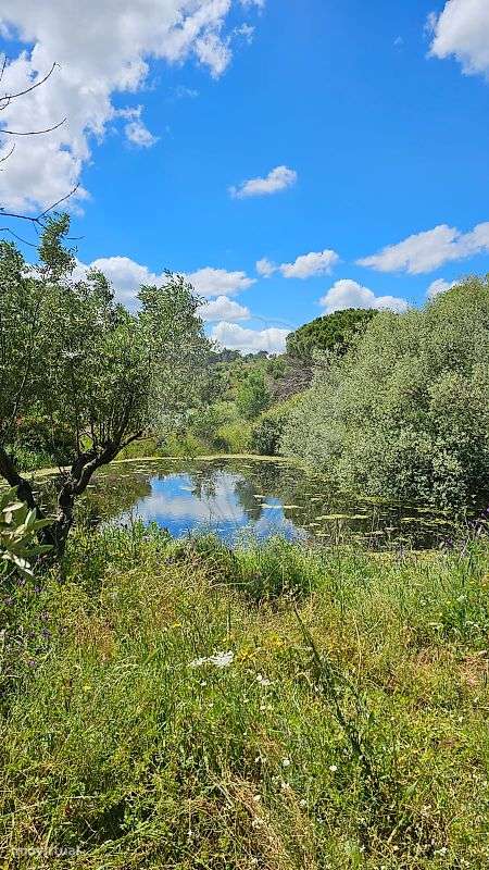 Quinta  para venda - Grande imagem: 5/16