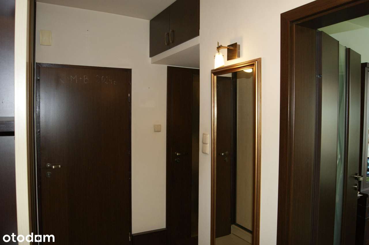 Zielony Olechów blisko planowanego Aquaparku-9