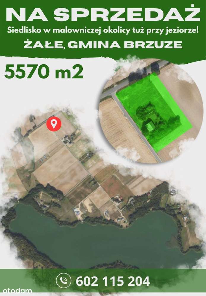 Stare siedlisko 600m od jeziora Żalskie Wielgie - Pełny obrazek: 5/5