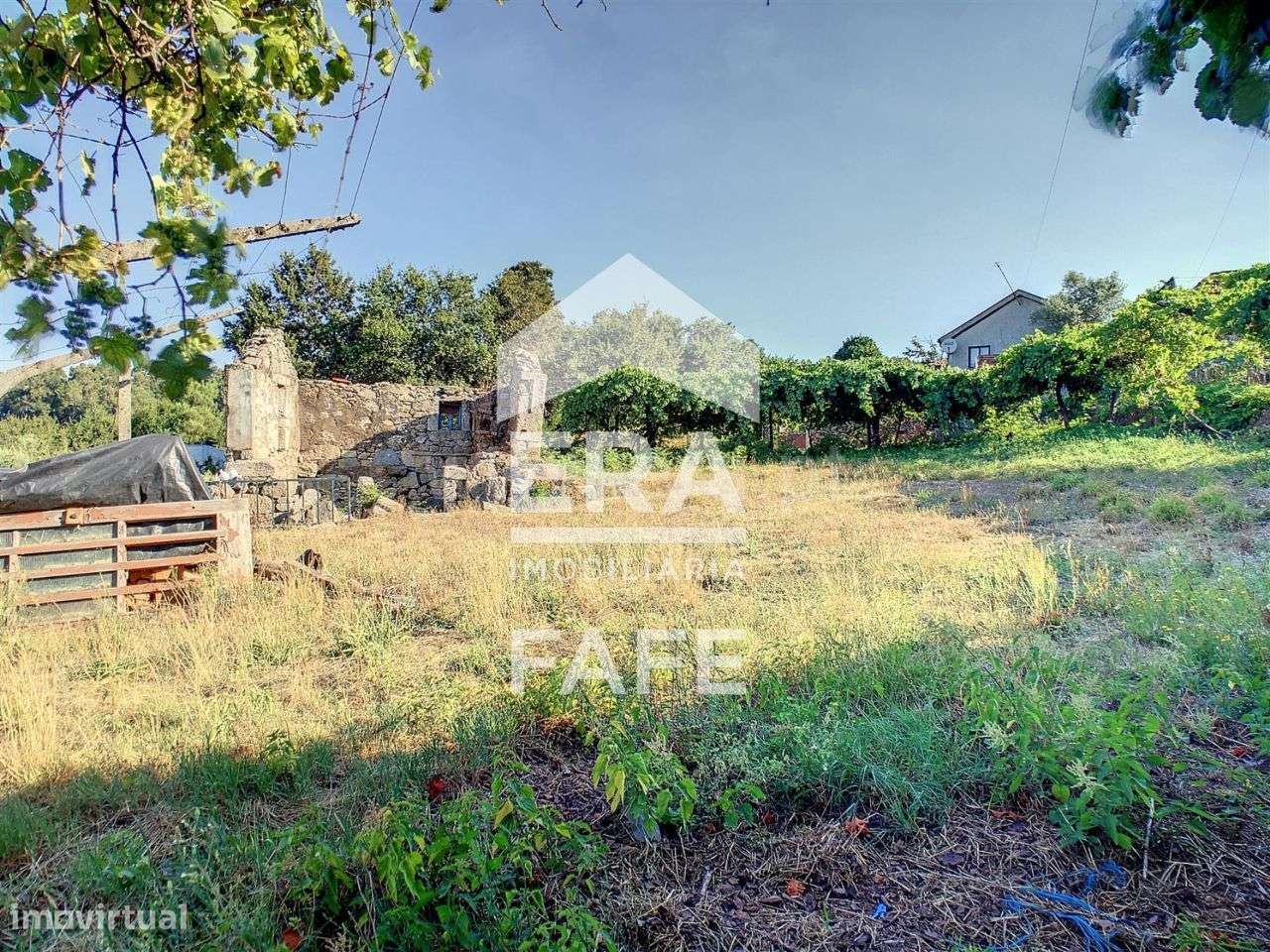 Moradia em Borba da Montanha - Celorico de Basto - Grande imagem: 5/15