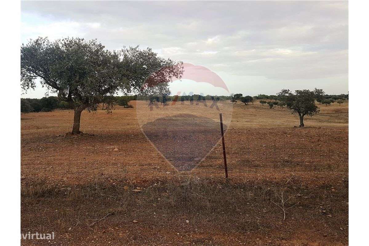 TERRENO 3 HA EM MOURÃO - Grande imagem: 4/6