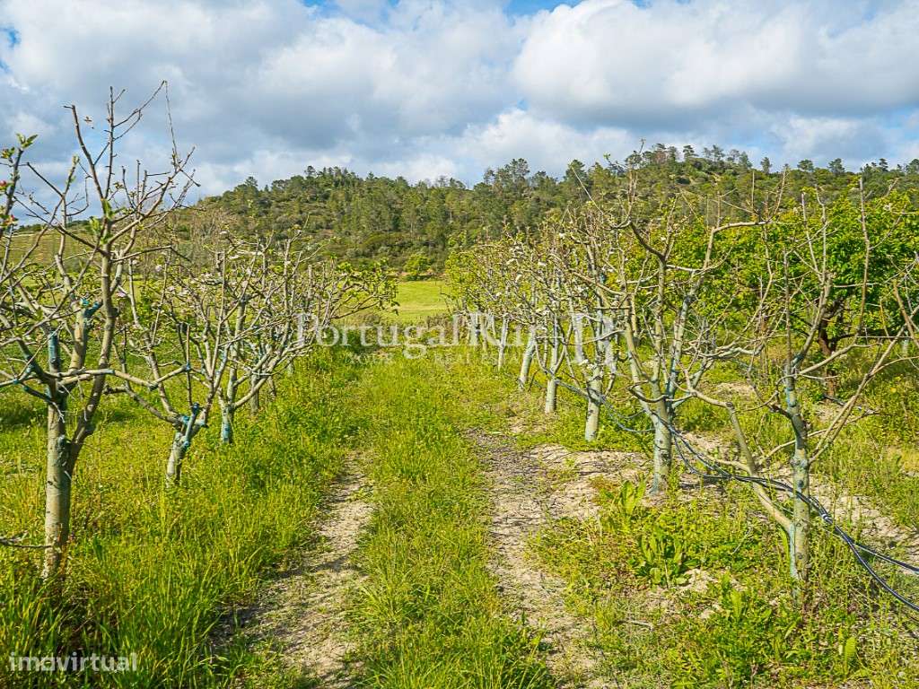 Quinta agrícola de 9,3ha com produção intensiva e totalmente equipada - Grande imagem: 5/11