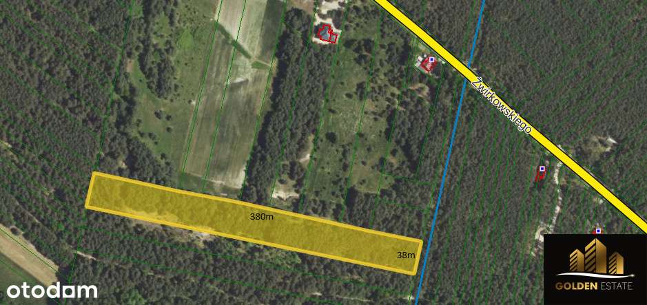 Działka leśna 1,4 ha Staromieście gm. Lelów - Pełny obrazek: 2/4