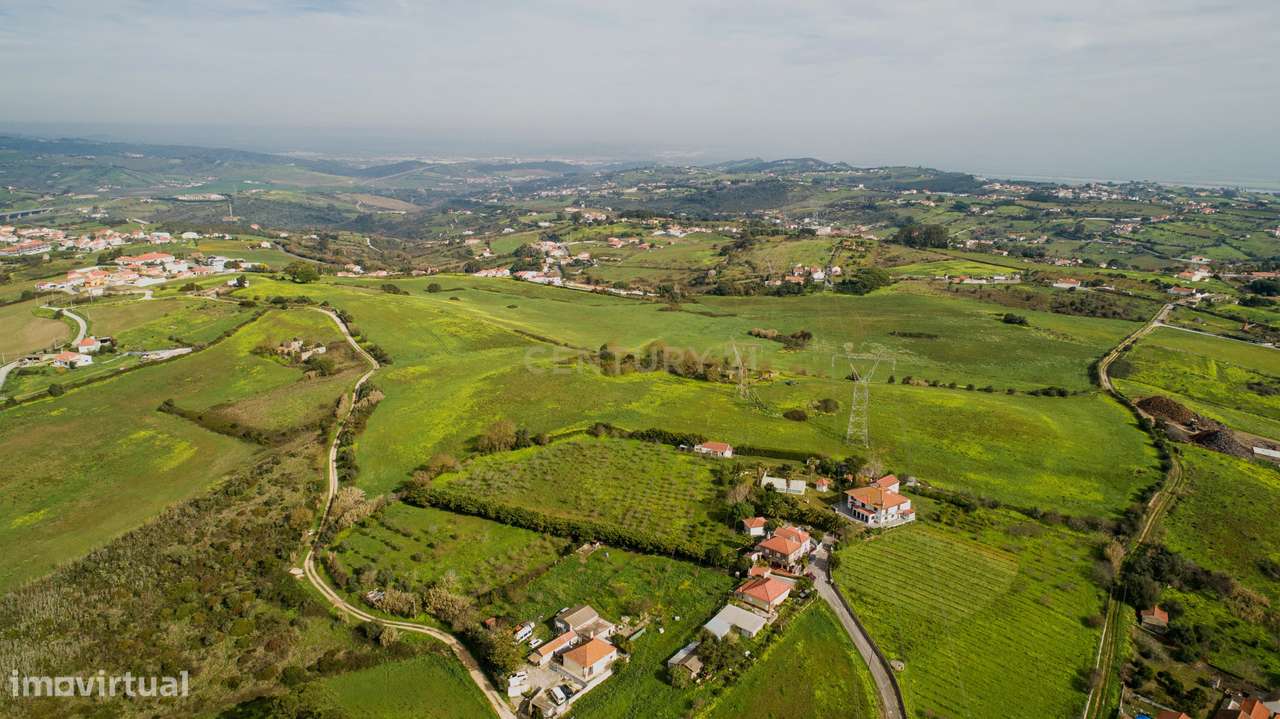 Quinta - 25 hectares-23