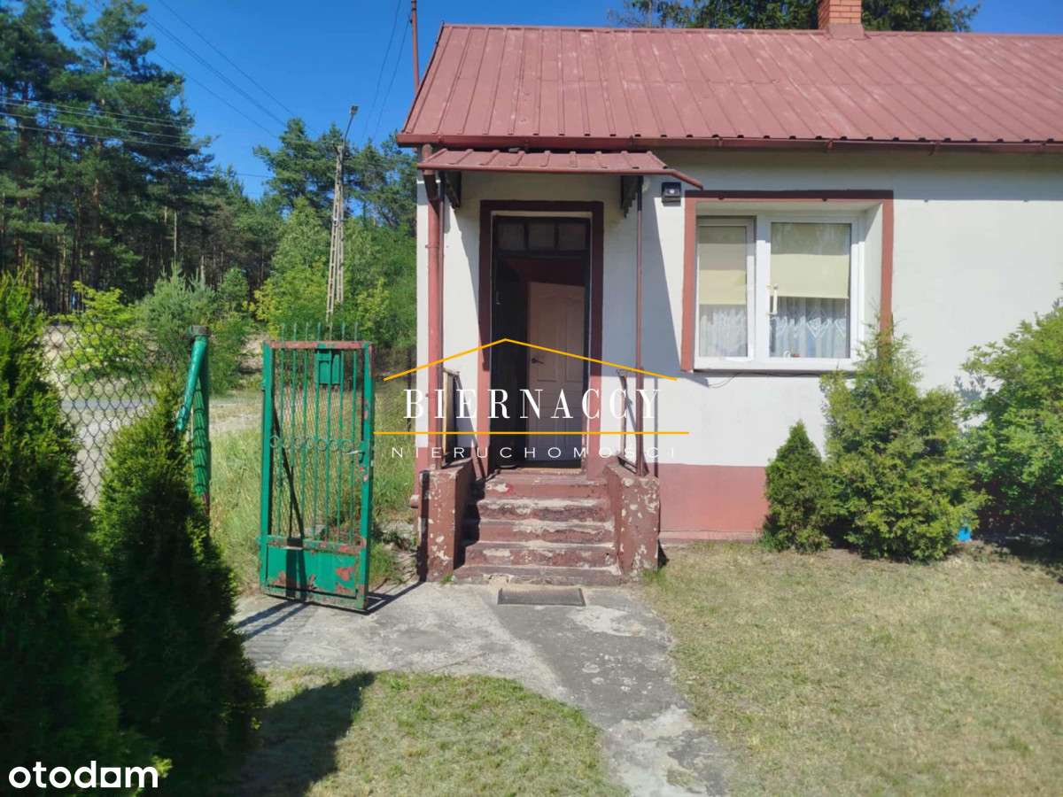 Domek na uroczej działce w Dyzinie pod Warszawą - Pełny obrazek: 3/20