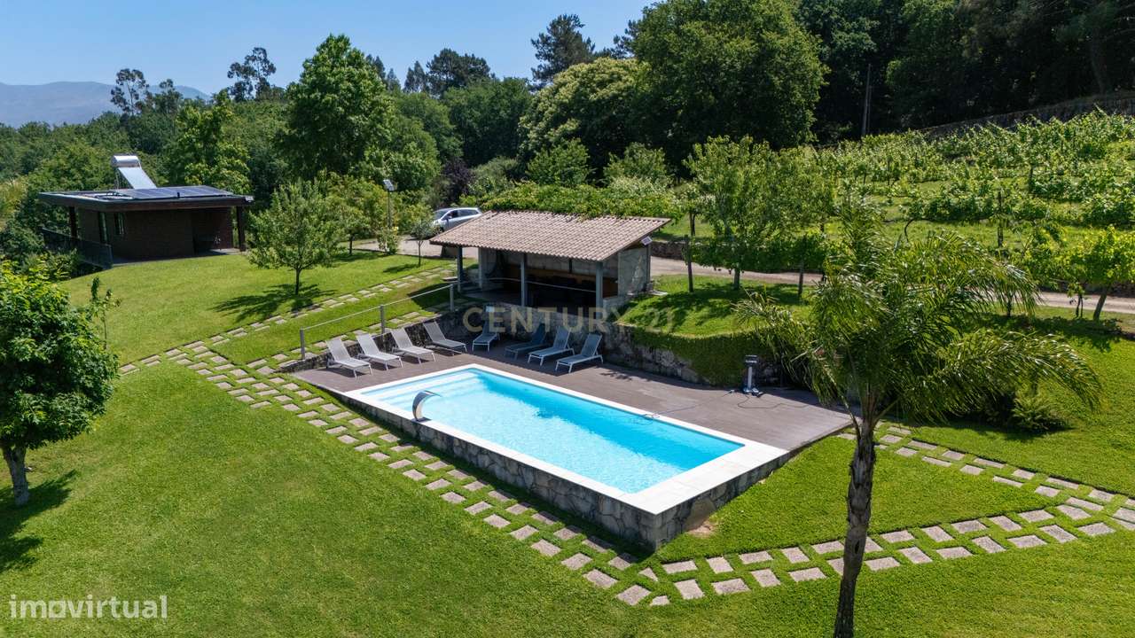 Quinta de Luxo de Vinho e Natureza com Potencial de Expansão perto do-17