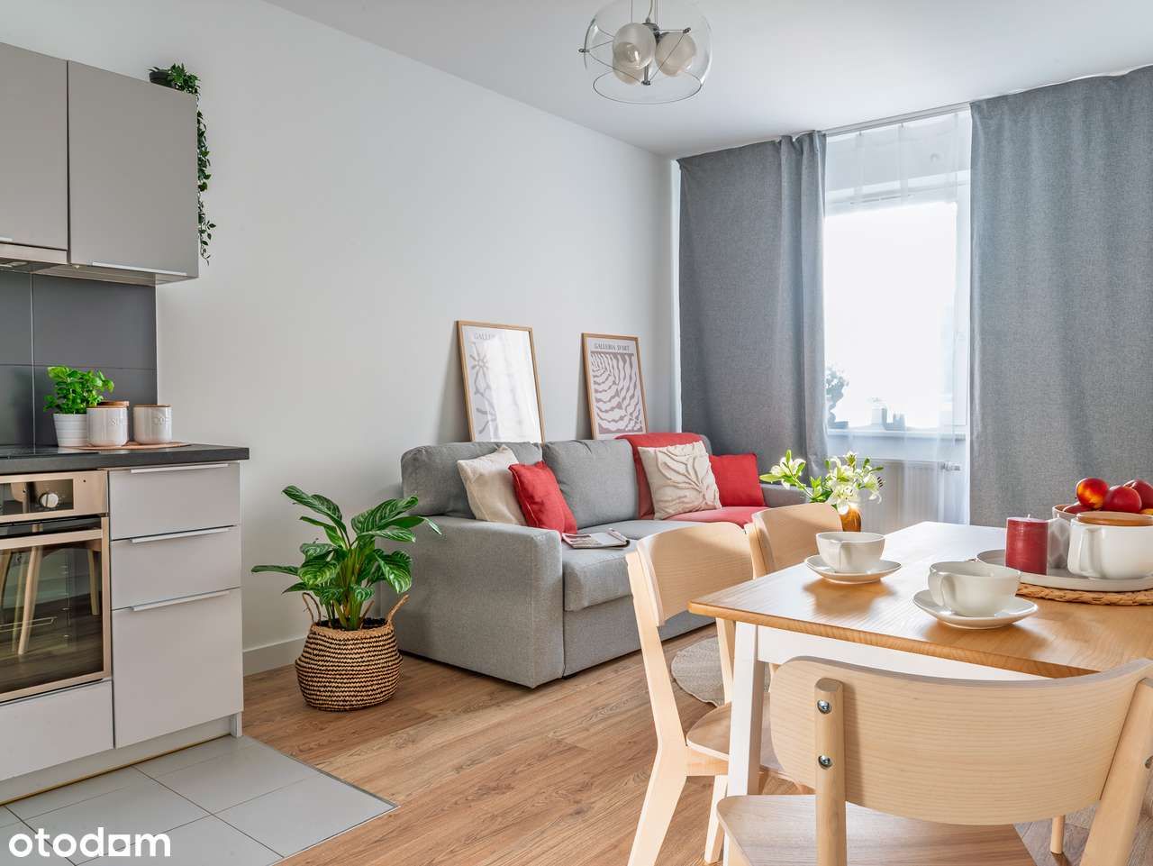 Bez pośredników I Niska kaucja I Dostępne od zaraz I Meble i AGD - Pełny obrazek: 5/7