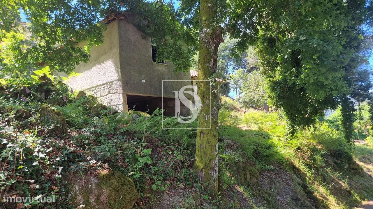 Moradia para Restaurar T2 Venda em Vilar da Veiga,Terras de Bouro-15