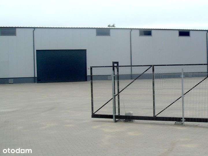 Hala magazynowo produkcyjna firma sprzeda Września - Pełny obrazek: 5/16