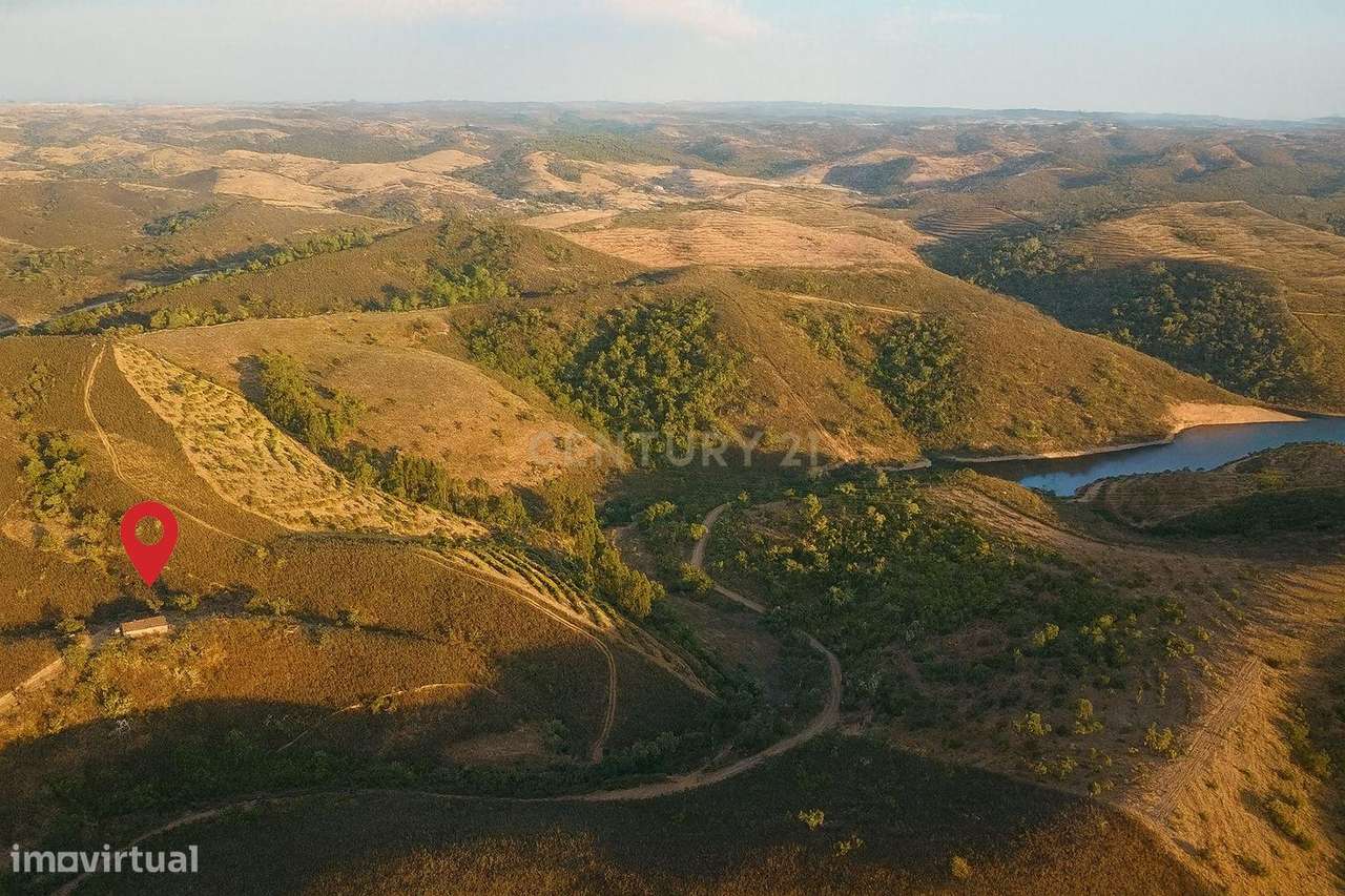 Herdade Alentejana - Um Lugar Onde o Silêncio Tem Valor e a Terra Tem - Grande imagem: 5/15