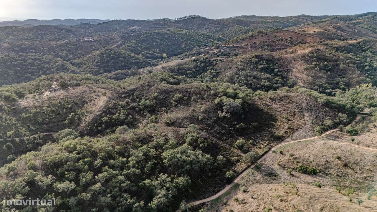 QUINTA | PARA VENDA | ALENTEJO | ODEMIRA-11