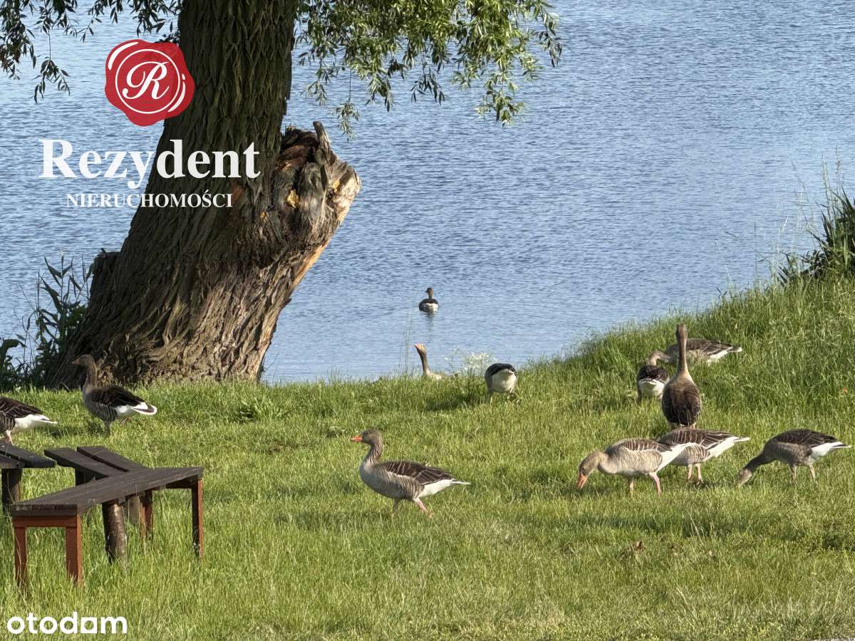 Piękna lokalizacja, Wnecja, Jeziora super Cena-13