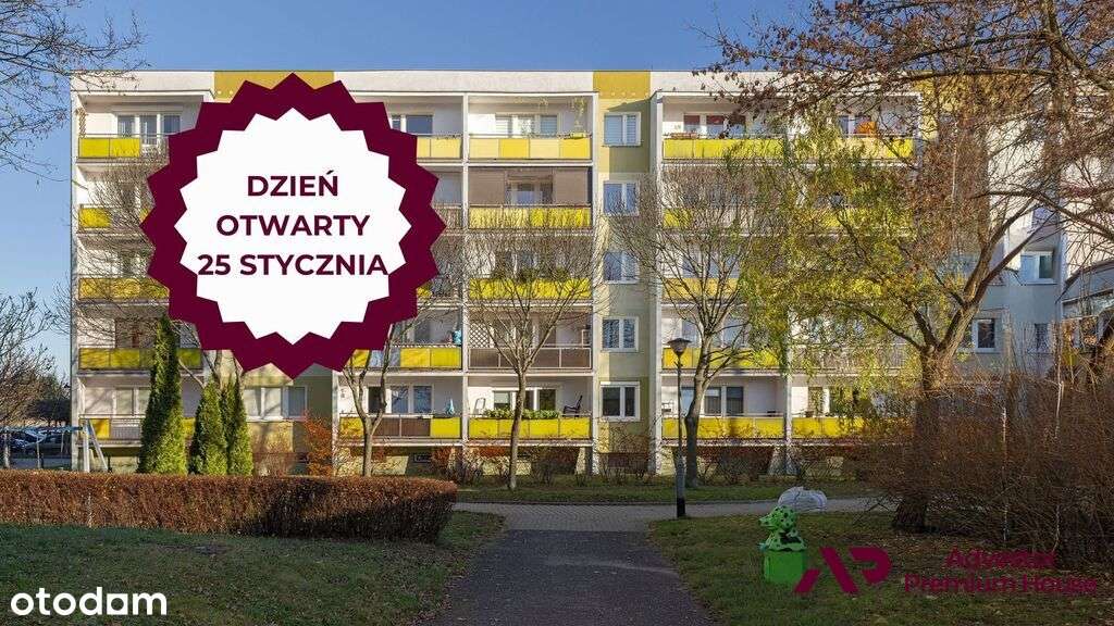 Niski blok, oddzielna kuchnia, balkon i piwnica