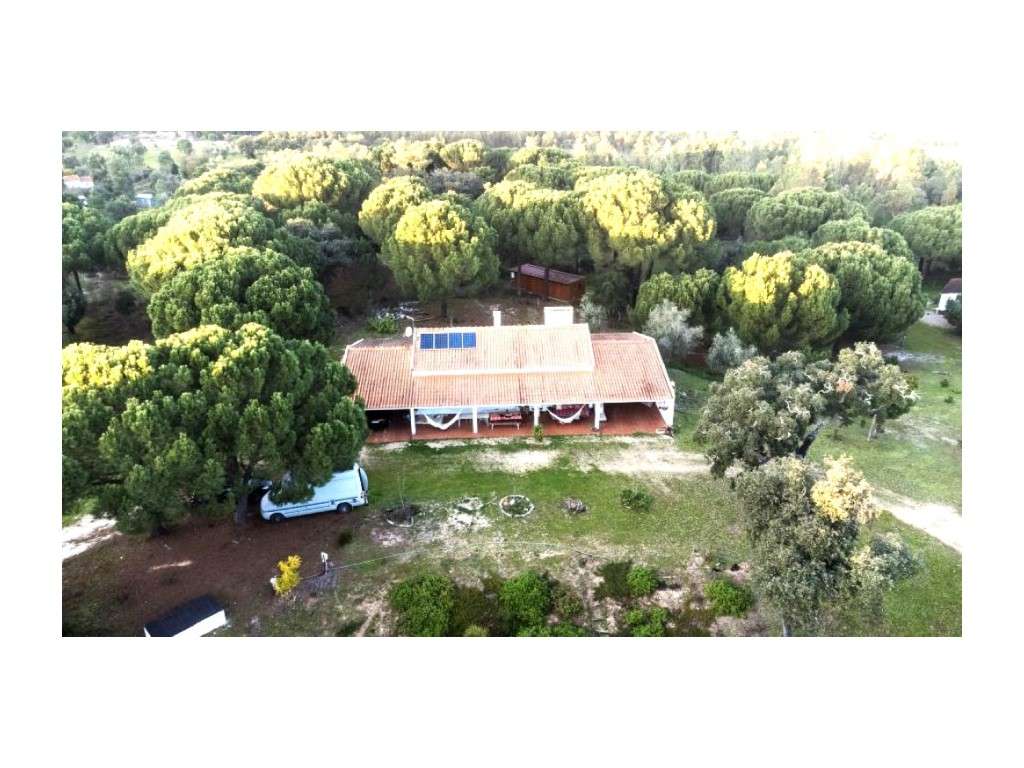 Monte Alentejano com 8,2 Hectares - Um Paraíso de Natureza e Sereni...-55