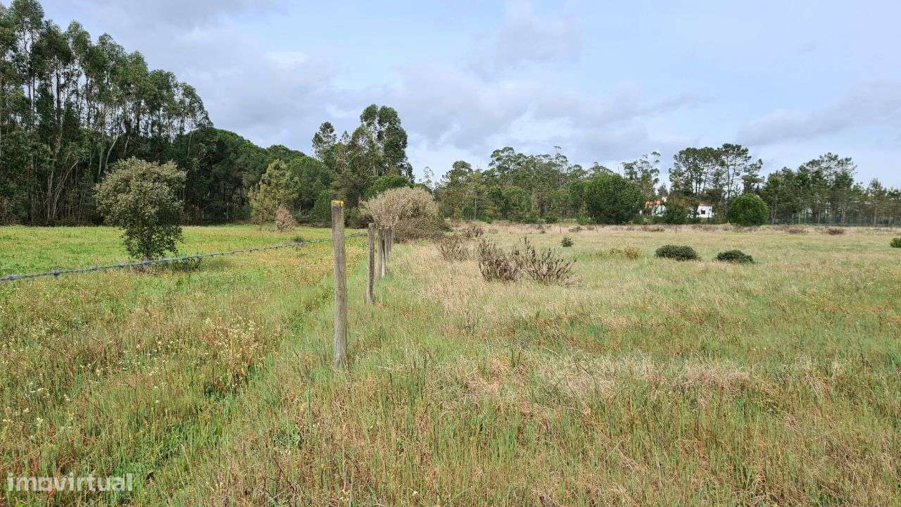 Lote de terreno rústico em Santarém - Grande imagem: 4/7
