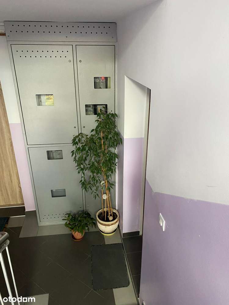 2-pokojowe mieszkanie, ul. Warszawska, Racibórz - NOWA CENA!-9