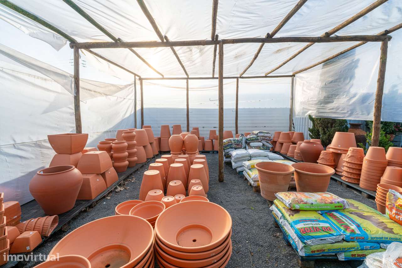 Trespasse de Centro de Jardinagem – Negócio Completo e Equipado - Beja-12