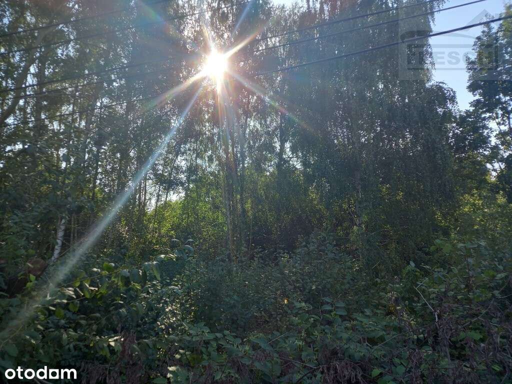 Atrakcyjna działka budowlana Brwinów 1580m2 - Pełny obrazek: 5/8