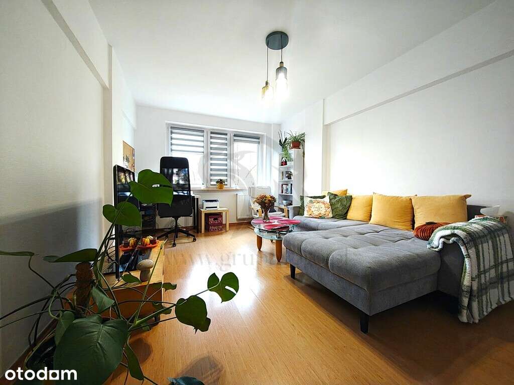 Baśń bez smoka, ale z 1996 roku - Pełny obrazek: 2/20