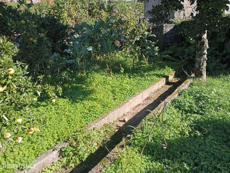 Casa pedra com terreno - Grande imagem: 4/10